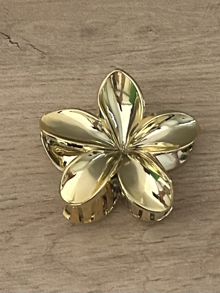 Pince à cheveux fleur — coloris doré 